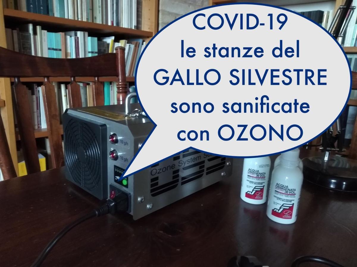 Il Gallo Silvestre - Bed&Books Montecassiano Zewnętrze zdjęcie